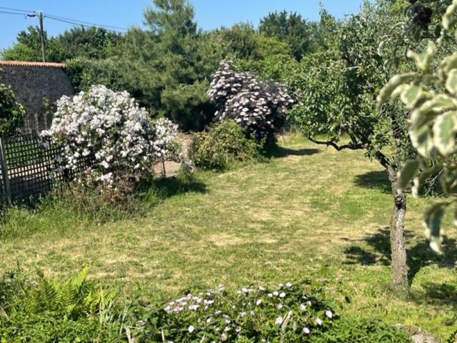Вилла Le Logis Cholet 49300 Lieu Exceptionnel En Famille Ou Amis Mazieres-en-Mauges Экстерьер фото